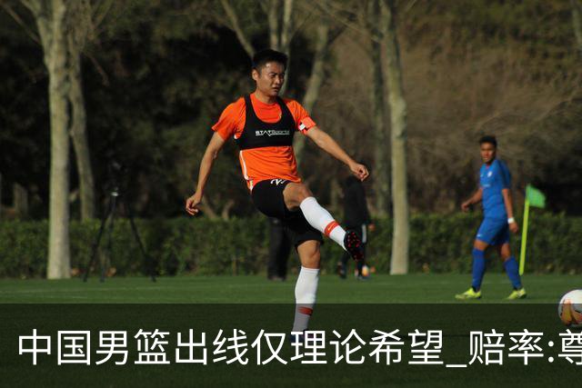 中国男篮出线仅理论希望 赔率:尊严战恐输10分